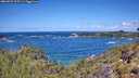./images/calvert/foggy-cove/20260529/foggy-cove20260529_115501M.jpg
