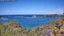 ./images/calvert/foggy-cove/20260529/foggy-cove20260529_120501M.jpg
