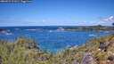 ./images/calvert/foggy-cove/20260529/foggy-cove20260529_121001M.jpg