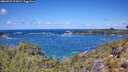 ./images/calvert/foggy-cove/20260529/foggy-cove20260529_122001M.jpg