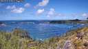./images/calvert/foggy-cove/20260529/foggy-cove20260529_125001M.jpg