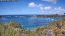 ./images/calvert/foggy-cove/20260529/foggy-cove20260529_130501M.jpg