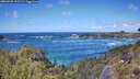 ./images/calvert/foggy-cove/20260529/foggy-cove20260529_132501M.jpg