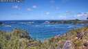 ./images/calvert/foggy-cove/20260529/foggy-cove20260529_133001M.jpg