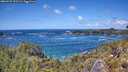 ./images/calvert/foggy-cove/20260529/foggy-cove20260529_133501M.jpg