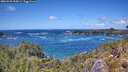 ./images/calvert/foggy-cove/20260529/foggy-cove20260529_134501M.jpg