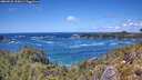 ./images/calvert/foggy-cove/20260529/foggy-cove20260529_135001M.jpg