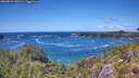 ./images/calvert/foggy-cove/20260529/foggy-cove20260529_140501M.jpg