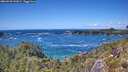 ./images/calvert/foggy-cove/20260529/foggy-cove20260529_142002M.jpg