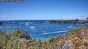 ./images/calvert/foggy-cove/20260529/foggy-cove20260529_143001M.jpg
