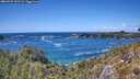 ./images/calvert/foggy-cove/20260529/foggy-cove20260529_143501M.jpg