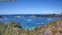 ./images/calvert/foggy-cove/20260529/foggy-cove20260529_144001M.jpg