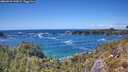 ./images/calvert/foggy-cove/20260529/foggy-cove20260529_144501M.jpg