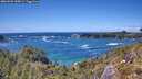 ./images/calvert/foggy-cove/20260529/foggy-cove20260529_145001M.jpg