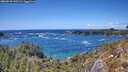 ./images/calvert/foggy-cove/20260529/foggy-cove20260529_145501M.jpg