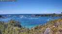 ./images/calvert/foggy-cove/20260529/foggy-cove20260529_150501M.jpg