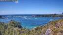 ./images/calvert/foggy-cove/20260529/foggy-cove20260529_151501M.jpg