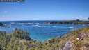 ./images/calvert/foggy-cove/20260529/foggy-cove20260529_152001M.jpg