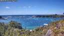 ./images/calvert/foggy-cove/20260529/foggy-cove20260529_153501M.jpg