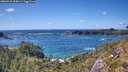 ./images/calvert/foggy-cove/20260529/foggy-cove20260529_155002M.jpg