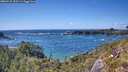 ./images/calvert/foggy-cove/20260529/foggy-cove20260529_155501M.jpg