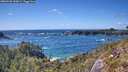 ./images/calvert/foggy-cove/20260529/foggy-cove20260529_160001M.jpg