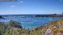 ./images/calvert/foggy-cove/20260529/foggy-cove20260529_161001M.jpg
