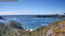 ./images/calvert/foggy-cove/20260529/foggy-cove20260529_165001M.jpg