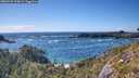 ./images/calvert/foggy-cove/20260529/foggy-cove20260529_170001M.jpg