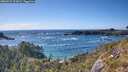 ./images/calvert/foggy-cove/20260529/foggy-cove20260529_171001M.jpg