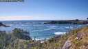 ./images/calvert/foggy-cove/20260529/foggy-cove20260529_172501M.jpg