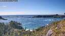 ./images/calvert/foggy-cove/20260529/foggy-cove20260529_173501M.jpg