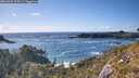 ./images/calvert/foggy-cove/20260529/foggy-cove20260529_174501M.jpg