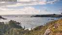 ./images/calvert/foggy-cove/20260529/foggy-cove20260529_182001M.jpg