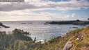 ./images/calvert/foggy-cove/20260529/foggy-cove20260529_183501M.jpg