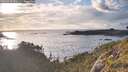 ./images/calvert/foggy-cove/20260529/foggy-cove20260529_200501M.jpg