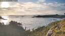 ./images/calvert/foggy-cove/20260529/foggy-cove20260529_201002M.jpg