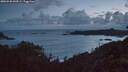 ./images/calvert/foggy-cove/20260530/foggy-cove20260530_044501M.jpg