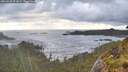 ./images/calvert/foggy-cove/20260530/foggy-cove20260530_071002M.jpg