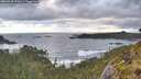 ./images/calvert/foggy-cove/20260530/foggy-cove20260530_072001M.jpg