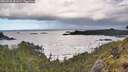 ./images/calvert/foggy-cove/20260530/foggy-cove20260530_081001M.jpg