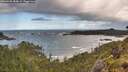 ./images/calvert/foggy-cove/20260530/foggy-cove20260530_083002M.jpg