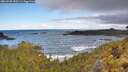 ./images/calvert/foggy-cove/20260530/foggy-cove20260530_090501M.jpg