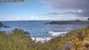 ./images/calvert/foggy-cove/20260530/foggy-cove20260530_091002M.jpg