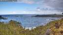 ./images/calvert/foggy-cove/20260530/foggy-cove20260530_091501M.jpg