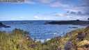 ./images/calvert/foggy-cove/20260530/foggy-cove20260530_092001M.jpg