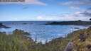 ./images/calvert/foggy-cove/20260530/foggy-cove20260530_092501M.jpg