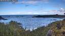 ./images/calvert/foggy-cove/20260530/foggy-cove20260530_093001M.jpg