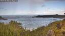 ./images/calvert/foggy-cove/20260530/foggy-cove20260530_093501M.jpg