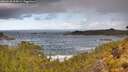 ./images/calvert/foggy-cove/20260530/foggy-cove20260530_094501M.jpg